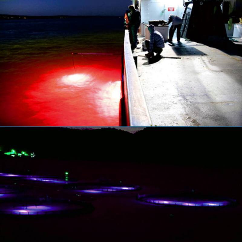 미니 낚시 매력 램프 빛나는 미끼 LED 깜박이는 낚시 - Fishing Boat Navigation Light 리뷰 및 가격